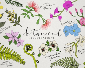 Botanical Clip Art - floral illustrations, tropical flowers clipart, New Zealand plants, orchids, ferns, lilies, flora and fauna, leaves