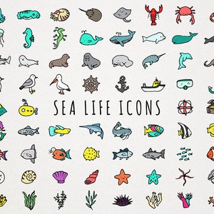Sea Life Icons Clipart Set - iconos oceánicos, iconos de peces, descarga instantánea, imágenes prediseñadas marinas, iconos de concha de pulpo medusa buceo ballena tiburón