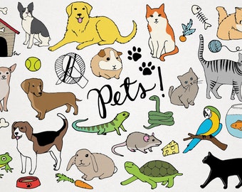 May include: A colorful illustration of various pets, including a dog, cat, guinea pig, turtle, frog, snake, lizard, and a parrot. The illustration is titled "Pets!" and includes various pet-related items such as a dog house, a bone, a ball, a fishbowl, and a cat toy.