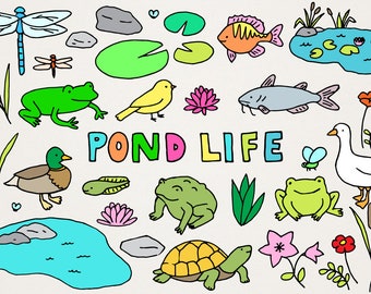Pond Life Clipart Set - Frogs, Toads, Fish Birds & Plants Illustrations