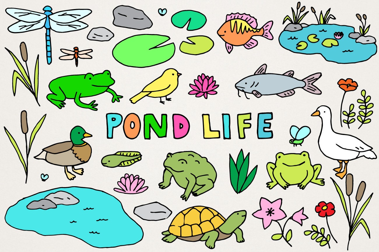 Pond Life Clipart Set Frogs, Toads, Fish Birds & Plants Illustrations 
