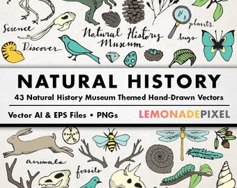 Natural History Museum Clipart - dinosaurs, butterflies, bugs, animals, fossils, and plants clip art - nature party theme, wilderness theme
