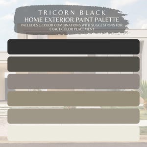 Tricorn Black Exterior Paint Color Scheme: Modern Farmhouse Palette (Digital Download)