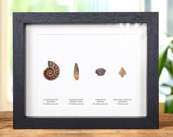 Historische Timeline der Erde im Kastenrahmen