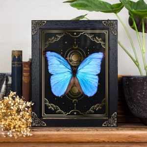 May include: A framed print of a blue morpho butterfly with gold accents on a black background. The butterfly is surrounded by a gold geometric design with stars and moons.