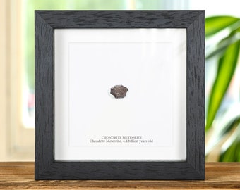 Chondrite Meteorite from North Africa In Box Frame