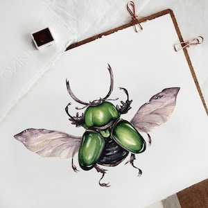 Male Saw Tooth Beetle (Lamprima adolphinae) Watercolour Giclée Print