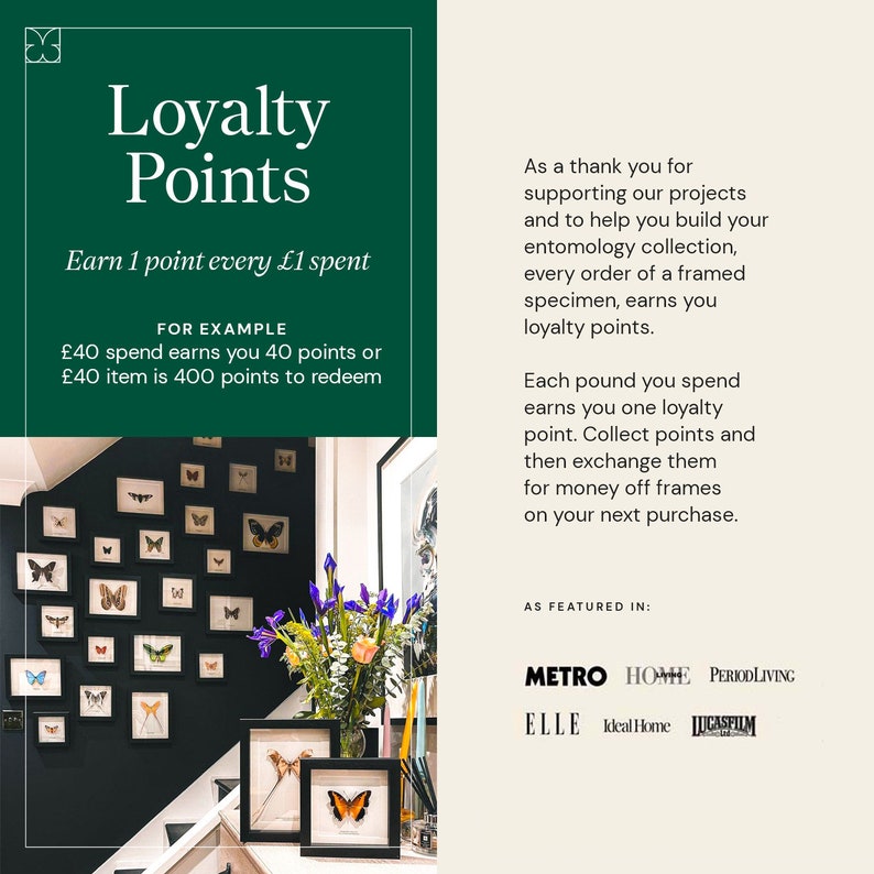 K&ouml;nnte beinhalten: Ein gr&uuml;nes und wei&szlig;es Schild mit dem Text "Loyalty Points" und "Earn 1 point every &pound;1 spent". Das Schild befindet sich neben einer Treppe mit gerahmten Schmetterlingsdrucken an der Wand. Das Schild enth&auml;lt auch den Text "FOR EXAMPLE" und "&pound;40 spend earns you 40 points or &pound;40 item is 400 points to redeem".