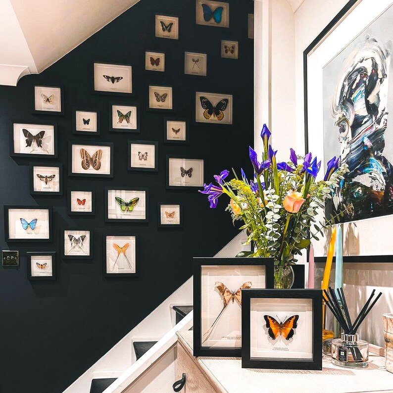Op de afbeelding: Een donkerblauwe muur met een verzameling ingelijste vlinderprints. De prints zijn in een rasterpatroon gerangschikt en tonen vlinders in verschillende kleuren en maten. Een boeket van paarse en witte bloemen staat in een vaas op een tafel voor de muur.