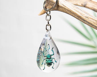 Blue Weevil Beetle Keyring In Resin (Eupholus sp)