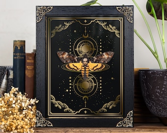 Totenkopf Motte auf Gold Folie Mond Phasen Druck (Acherontia atropos)