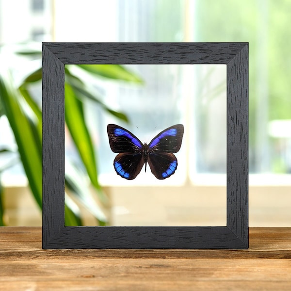 Glass See Through Picture Frame Etsy