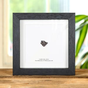 Campo del Cielo Meteorite 10-20g In Box Frame