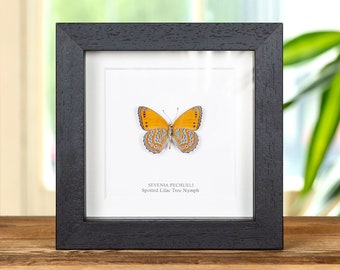 蝶の樹　Butterfly Tree #004 20 Inch Rustic Metal Butterfly Tree Hanging Wall Sculpture