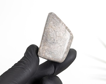 Polished Dinosaur Bone Pebble  (Theropoda sp)
