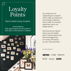 Op de afbeelding: Een groen en wit bord met de tekst "Loyalty Points" en "Earn 1 point every &pound;1 spent". Het bord staat naast een trap met ingelijste vlinderprints aan de muur. Het bord bevat ook de tekst "FOR EXAMPLE" en "&pound;40 spend earns you 40 points or &pound;40 item is 400 points to redeem".