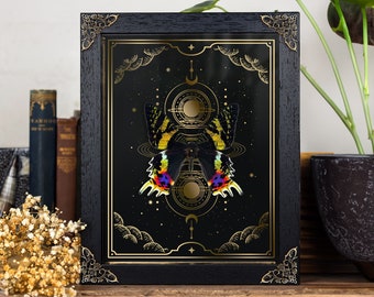 May include: A black framed print with a gold design featuring a butterfly with iridescent wings against a black background with gold stars and moons.
