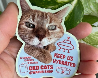 May include: A blue and green sticker with a cat's face and the text "KEEP US HYDRATED" and "CKD CATS @WAFUR SHOP". The sticker also includes a small illustration of a UFO and a bowl with a paw print.