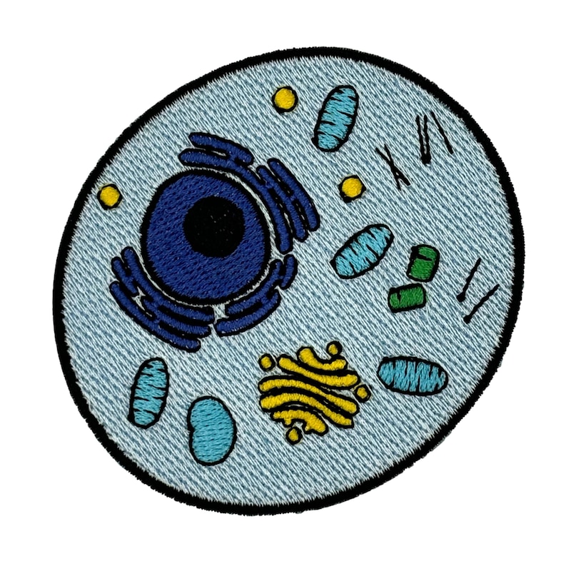 Science Patch - Etsy