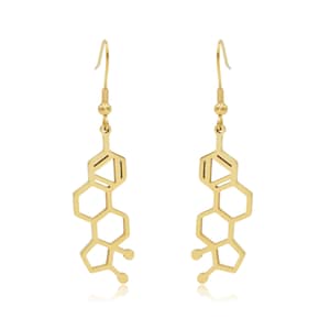 Estrogen Molecule Stainless Steel Dangle Earrings