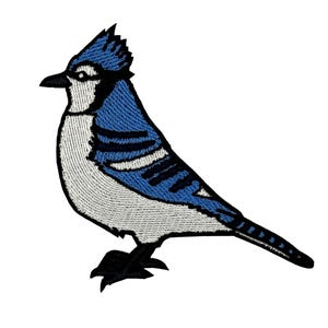 Può includere: Toppa ricamata di ghiandaia azzurra con dettagli bianchi e neri. L'uccello è rivolto a sinistra e ha una cresta blu sulla testa.