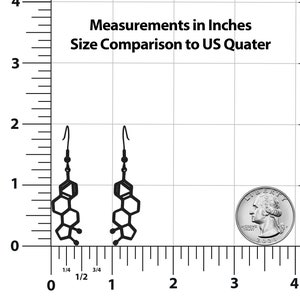 Estrogen Molecule Stainless Steel Dangle Earrings image 9