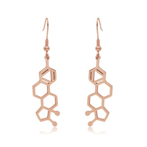 Estrogen Molecule Stainless Steel Dangle Earrings