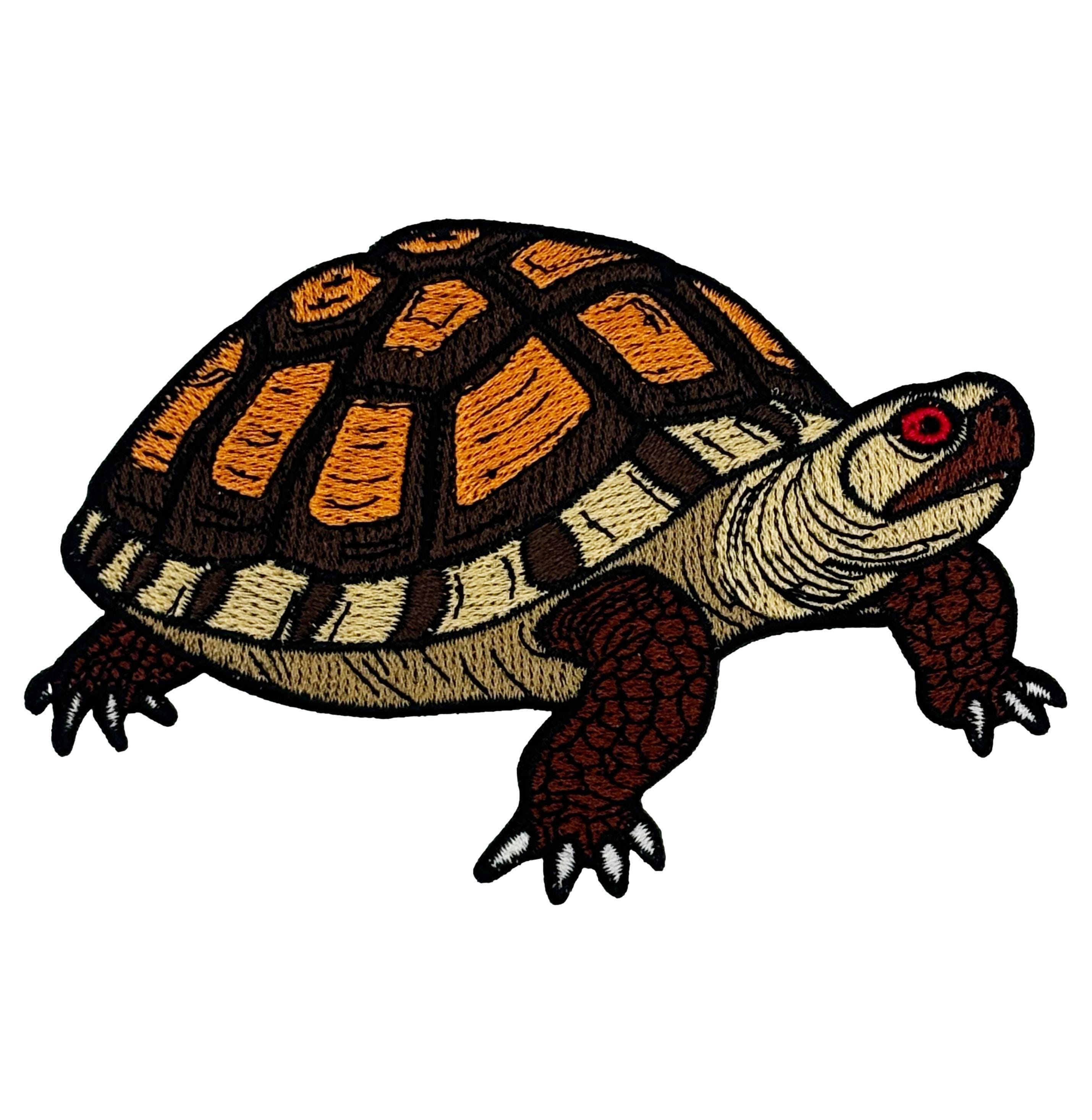 Box Turtle Embroidered Iron-on Patch - Etsy