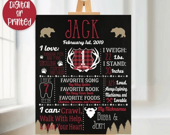 Lumberjack 1st Birthday Party Sign, Lumberjack Chalkboard Sign, Lumberjack Birthday Party Decorations, Lumberjack Poster, Boys 1st Birthday