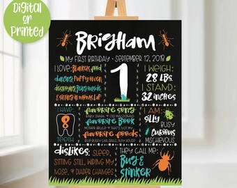 May include: A black chalkboard style first birthday sign with a green, orange, and blue ant theme. The sign says "Brigham" and includes details like weight, height, favorite foods, and dislikes. The sign is decorated with ants, a ladybug, and a bug.