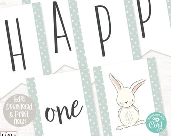 Bunny Birthday Banner, Bunny Birthday Party Decor, Some Bunny is One, Spring Birthday, First Birthday Boy, Boys 1st Birthday, Rabbit Party