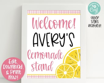 Pink Lemonade Birthday Party Decorations, Pink Lemonade Party Sign, Lemonade Stand, Summer Birthday Party, Girls First Birthday, 1st Birthda
