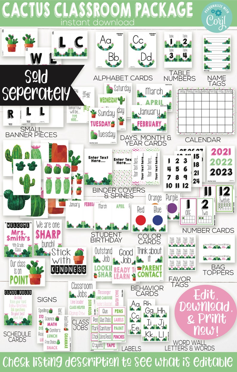 Cactus Classroom Calendar Set Printable, Cactus Theme, Teacher Supply, Printable Classroom Teacher Decoration and Supplies, Calendar Board image 6