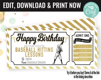 Birthday Present Baseball Hitting Lessons Surprise Gift Voucher, Baseball Surprise Printable Gift Card Editable Instant Download Certificate