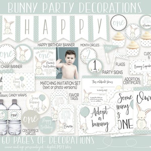 Bunny Birthday Party Decorations, Some Bunny is One, Spring Birthday, First Birthday Boy, Boys 1st Birthday, Easter Party, Rabbit Birthday