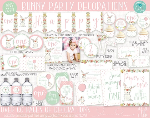 Bunny Birthday Party Decorations, Some Bunny is One, Spring Birthday, First Birthday Girl, Shabby Chic, Girls 1st Birthday, Easter Party Il_570xn