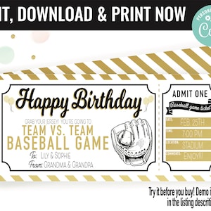 Birthday Present Baseball Ticket Surprise Gift Voucher, Baseball Game Surprise Printable Gift Card Editable Instant Download Certificate