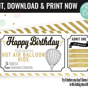 Birthday Surprise Hot Air Balloon Ride Gift Voucher, Balloon Ride Printable Template Gift Card, Editable Instant Download Gift Certificate