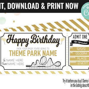Birthday Surprise Theme Park Ticket Gift Voucher, Amusement Park Printable Template Gift Card, Editable Instant Download Certificate