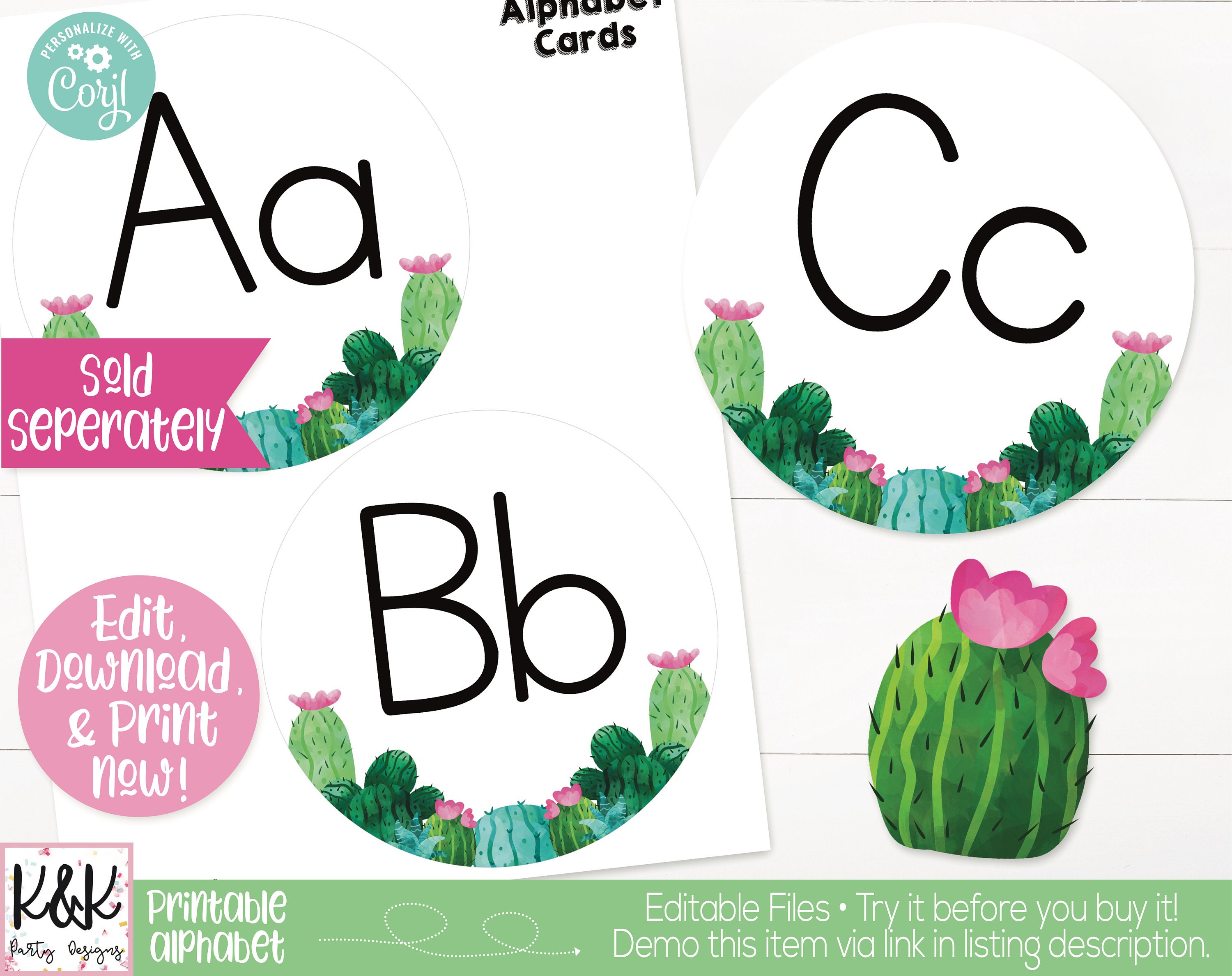 Cactus Succulent Theme Classroom Editable Behavior Clip Chart Printable ...
