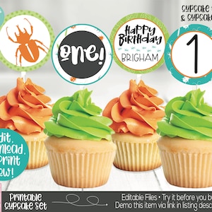 Bug Cupcake Toppers, Insect Cupcake Toppers, Bug Birthday Party Decorations, Insect Birthday Party Decorations, Boys 1st Birthday, Printable
