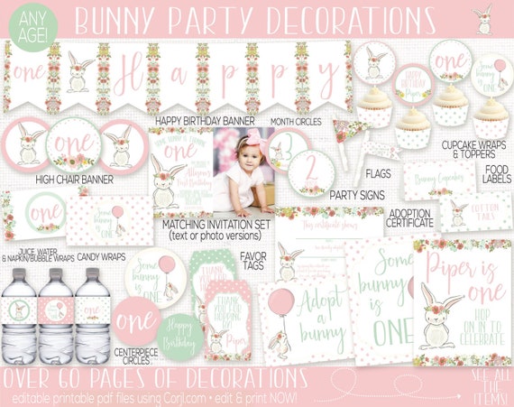 Bunny Birthday Party Decorations, Some Bunny is One, Spring Birthday, First Birthday Girl, Shabby Chic, Girls 1st Birthday, Easter Party Il_570xn
