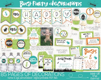 Bug Birthday Party Decorations, Insect Birthday Party Decorations, Bug Birthday Party Invitation, Boys 1st Birthday, First Birthday