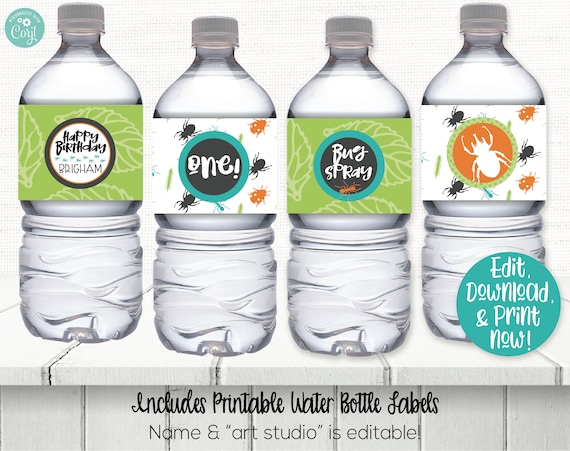 Editable Art Party Water Bottle Labels Painting Birthday Decor Craft B -  Design My Party Studio