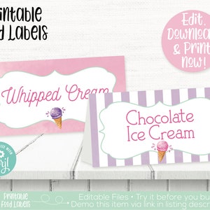 Ice Cream Food Labels, Ice Cream Place Cards, Ice Cream Buffet Cards, Ice Cream Birthday Party Decorations, Ice Cream Theme, First Birthday bild 1