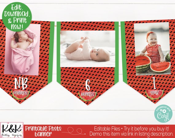 Watermelon Monthly Photo Banner, Watermelon Birthday Party Decoration, One in a Melon, Watermelon Birthday Banner, Girls First Birthday, 1st Il_570xn