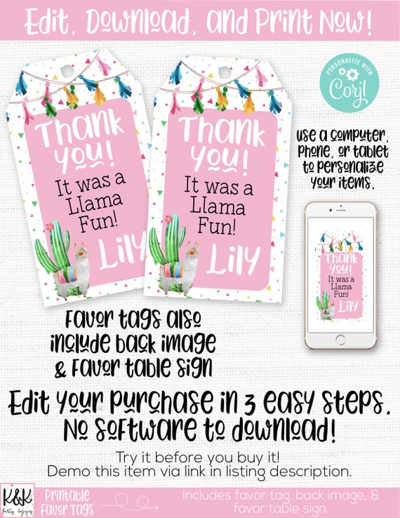 Llama Favor Tags, Llama Thank You Tags, Llama Birthday Party Decorations, Llama Cactus Party, Cactus Favor Tags, Llama Favor Label, Girls Il_570xn