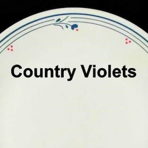 8 Corelle COUNTRY VIOLETS Plates, Bowls Replacements Blue Rings and Flowers on Tan Base