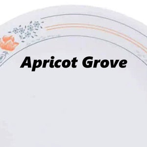 2 Corelle APRICOT GROVE Plates Replacements Salmon Pink/Orange Flowers Gray Leaves on White Vintage Dishes