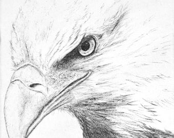 American Bald Eagle - solar print, etching, relief print, original print, hand-pulled print, intaglio, drypoint